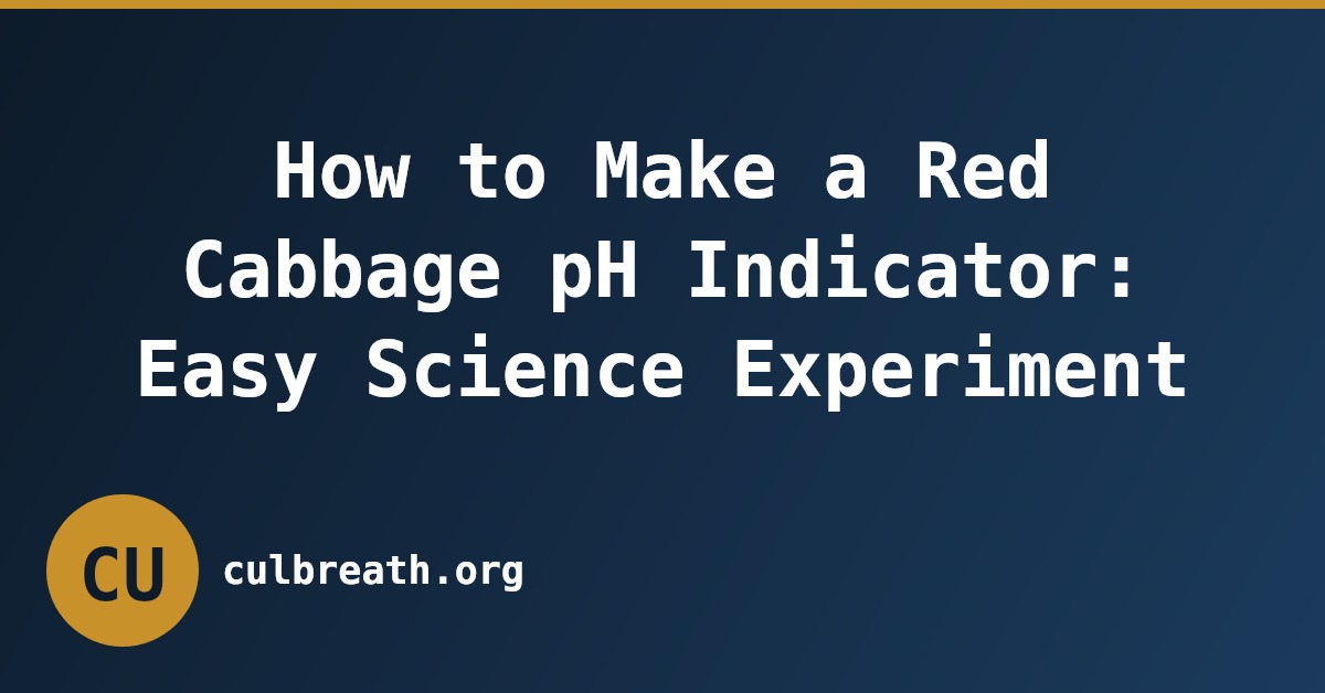 How to Make a Red Cabbage pH Indicator: Easy Science Experiment
