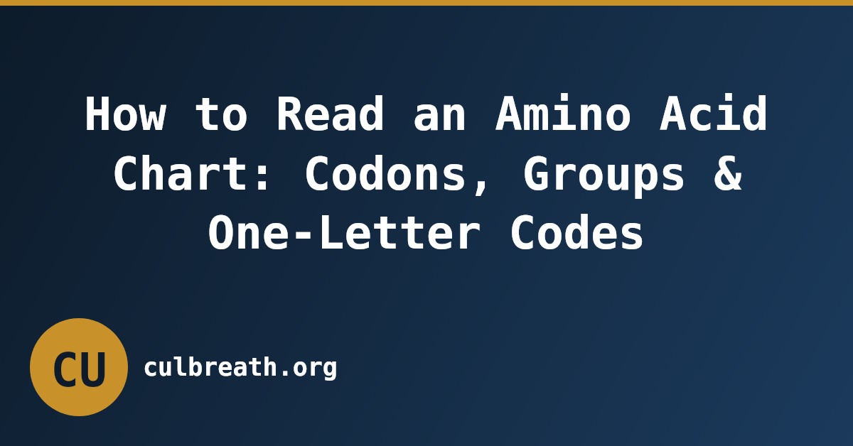 How to Read an Amino Acid Chart: Codons, Groups & One-Letter Codes