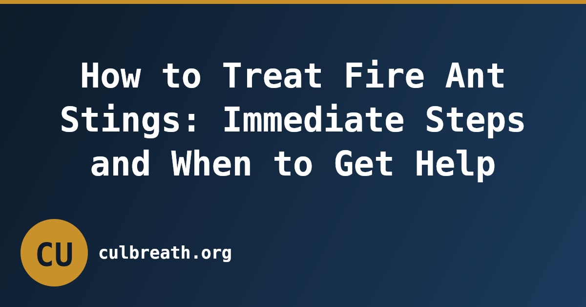 How to Treat Fire Ant Stings: Immediate Steps and When to Get Help