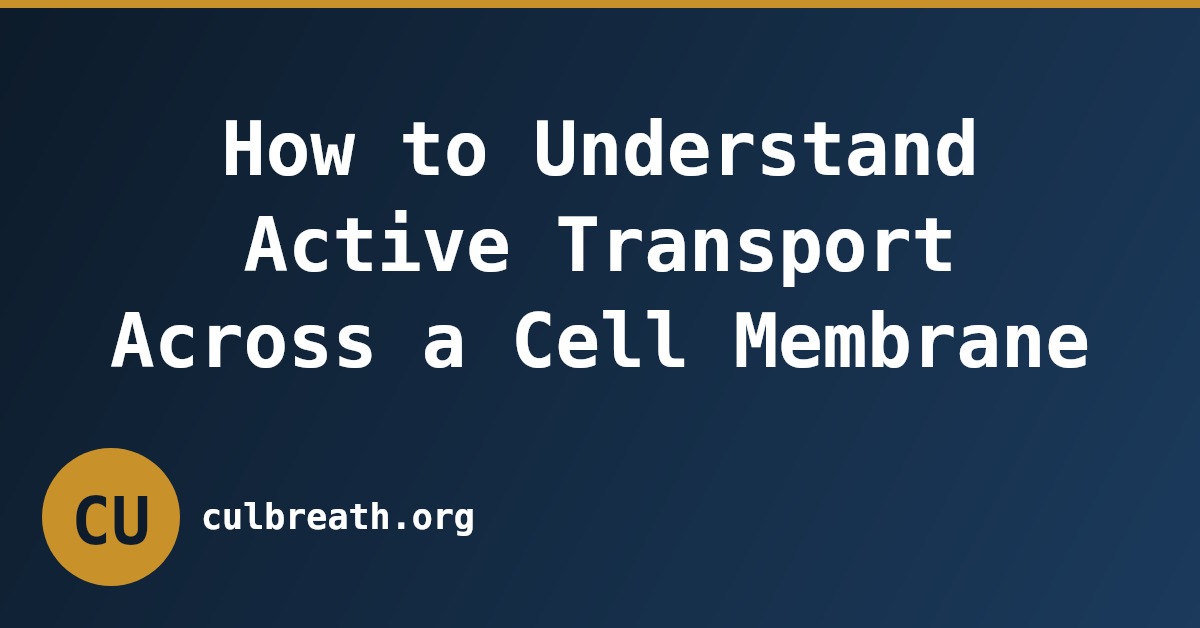 How to Understand Active Transport Across a Cell Membrane