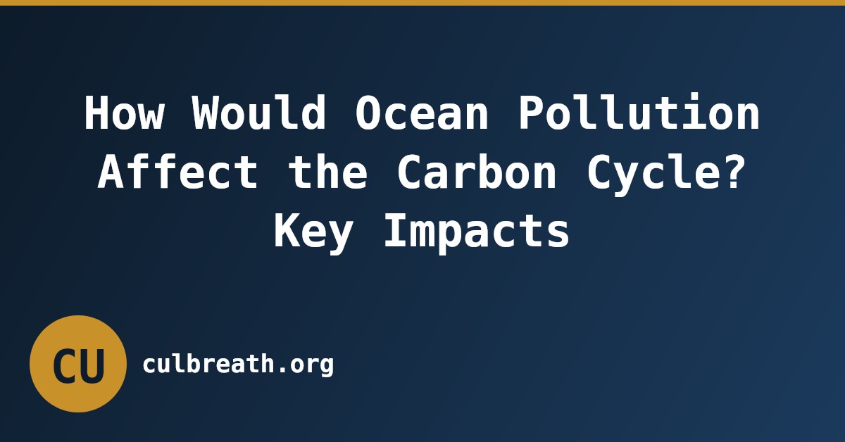 How Would Ocean Pollution Affect the Carbon Cycle? Key Impacts