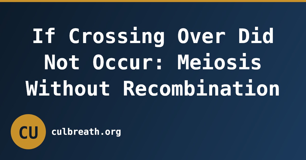 If Crossing Over Did Not Occur: Meiosis Without Recombination