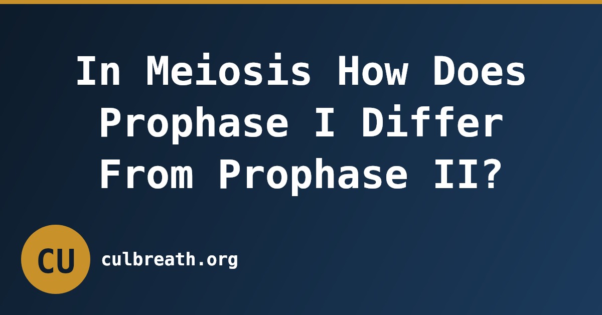 In Meiosis How Does Prophase I Differ From Prophase II?