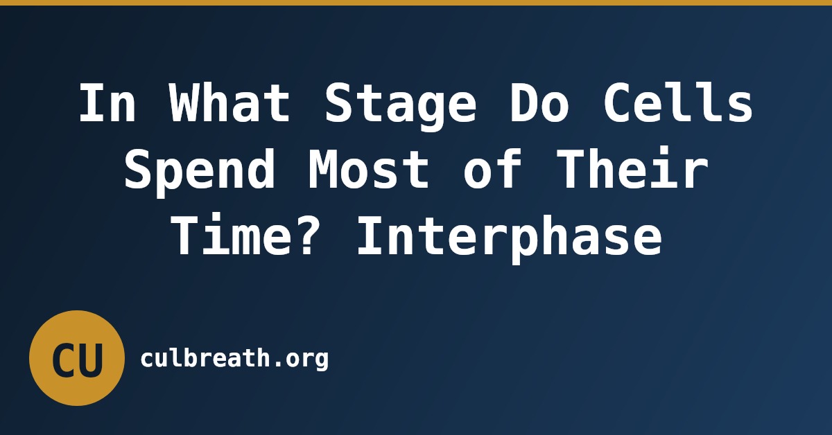 In What Stage Do Cells Spend Most of Their Time? Interphase