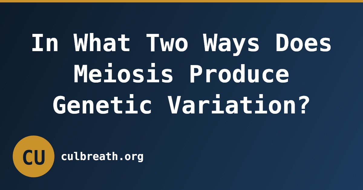 In What Two Ways Does Meiosis Produce Genetic Variation?