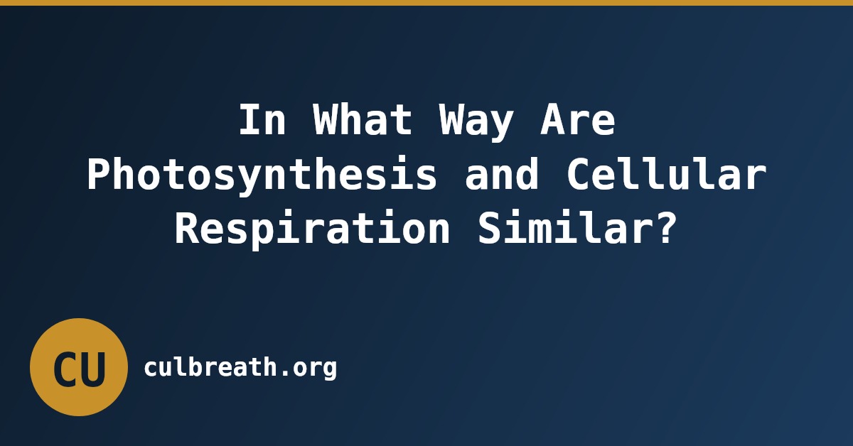 In What Way Are Photosynthesis and Cellular Respiration Similar?