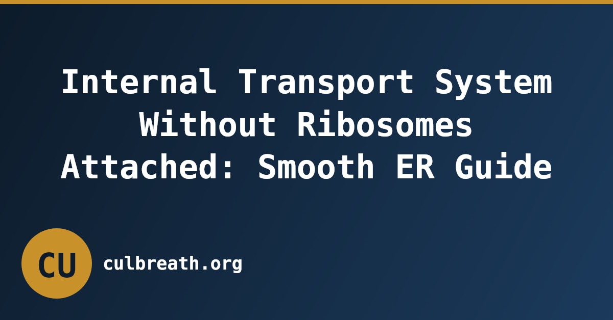 Internal Transport System Without Ribosomes Attached: Smooth ER Guide