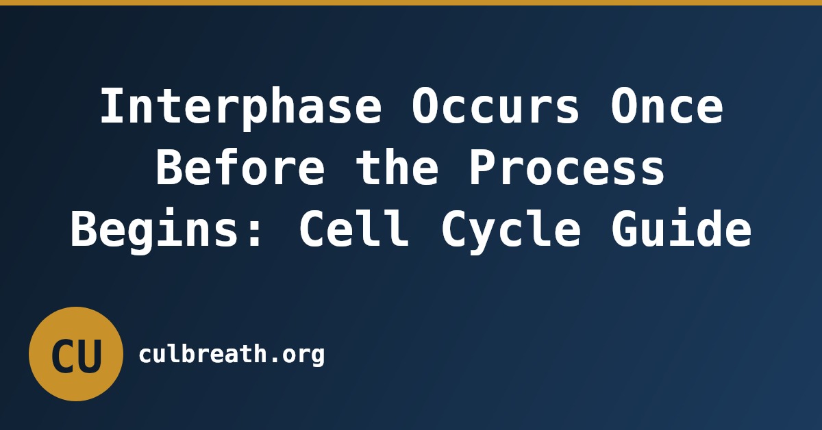 Interphase Occurs Once Before the Process Begins: Cell Cycle Guide