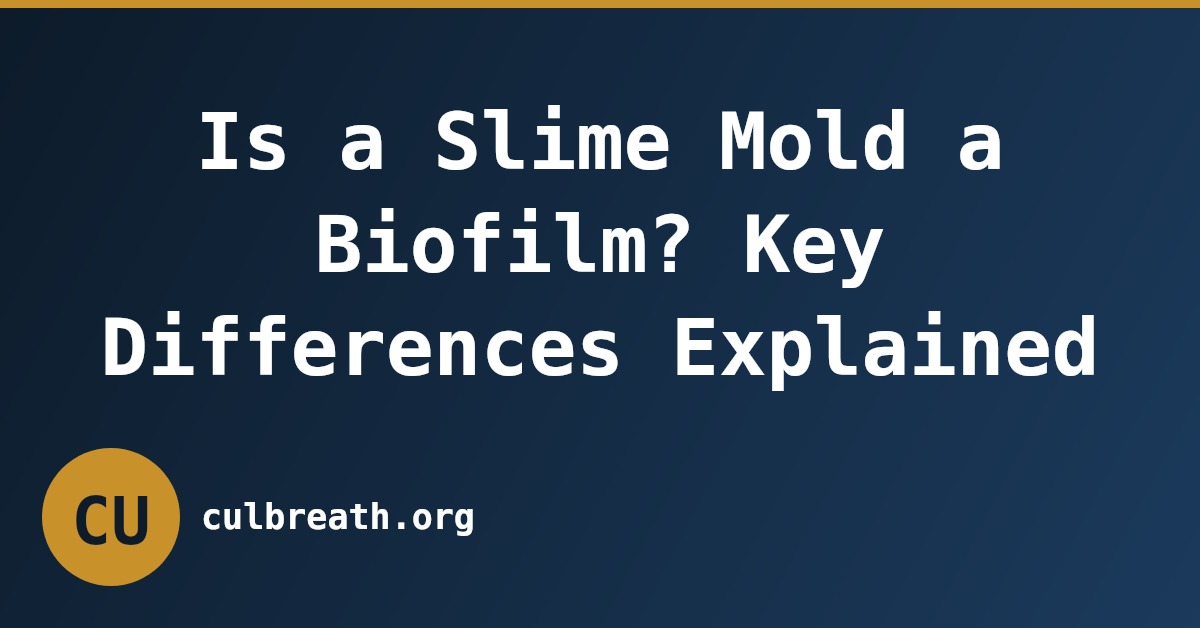 Is a Slime Mold a Biofilm? Key Differences Explained