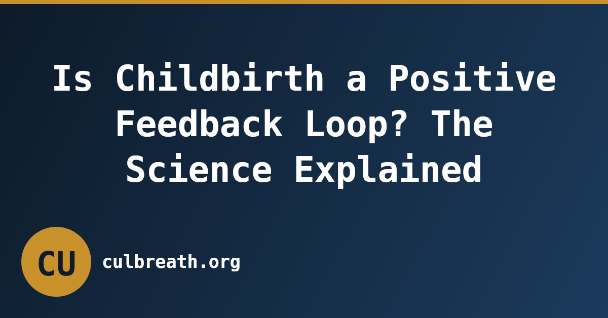 Is Childbirth a Positive Feedback Loop? The Science Explained