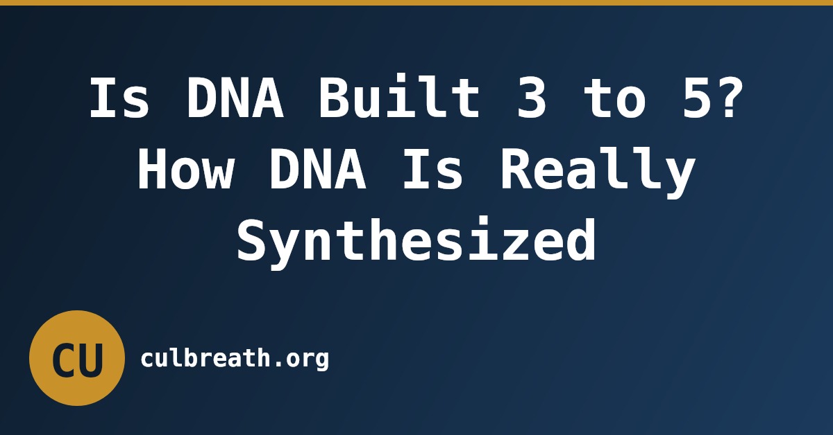 Is DNA Built 3 to 5? How DNA Is Really Synthesized