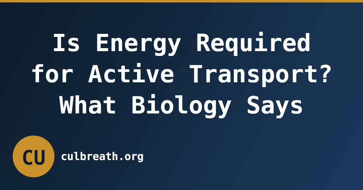 Is Energy Required for Active Transport? What Biology Says