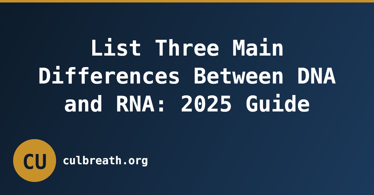 List Three Main Differences Between DNA and RNA: 2025 Guide