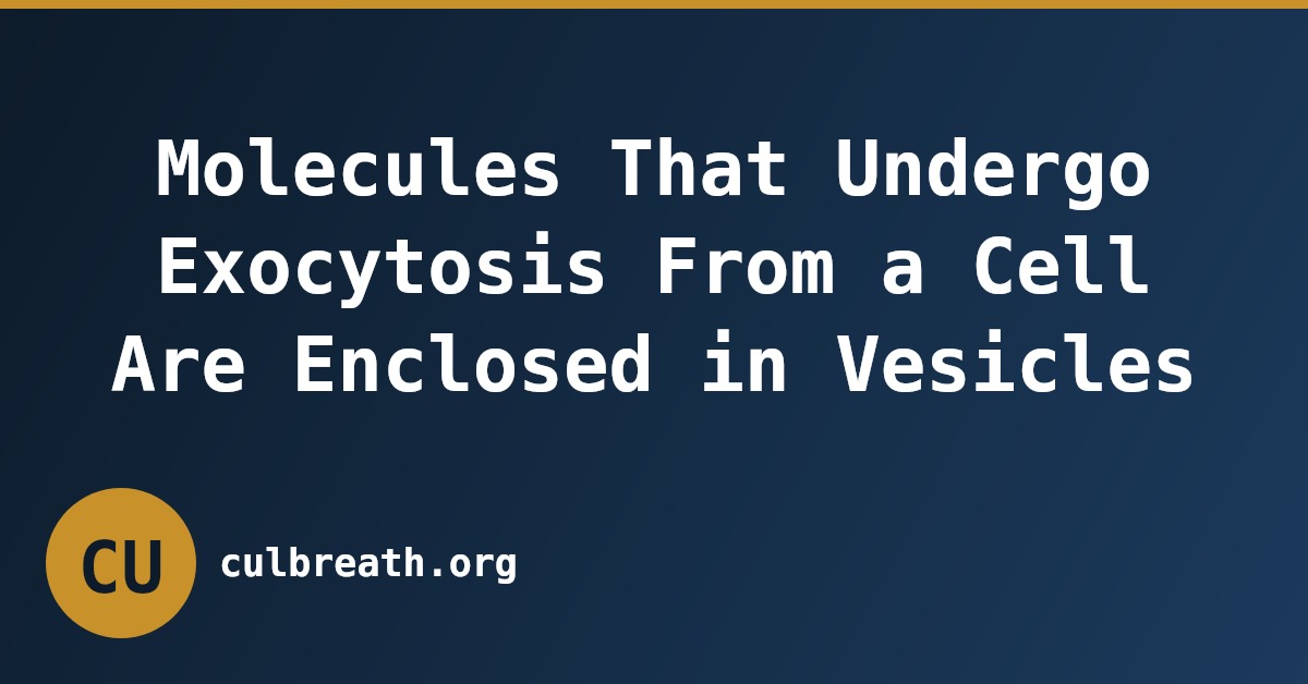 Molecules That Undergo Exocytosis From a Cell Are Enclosed in Vesicles
