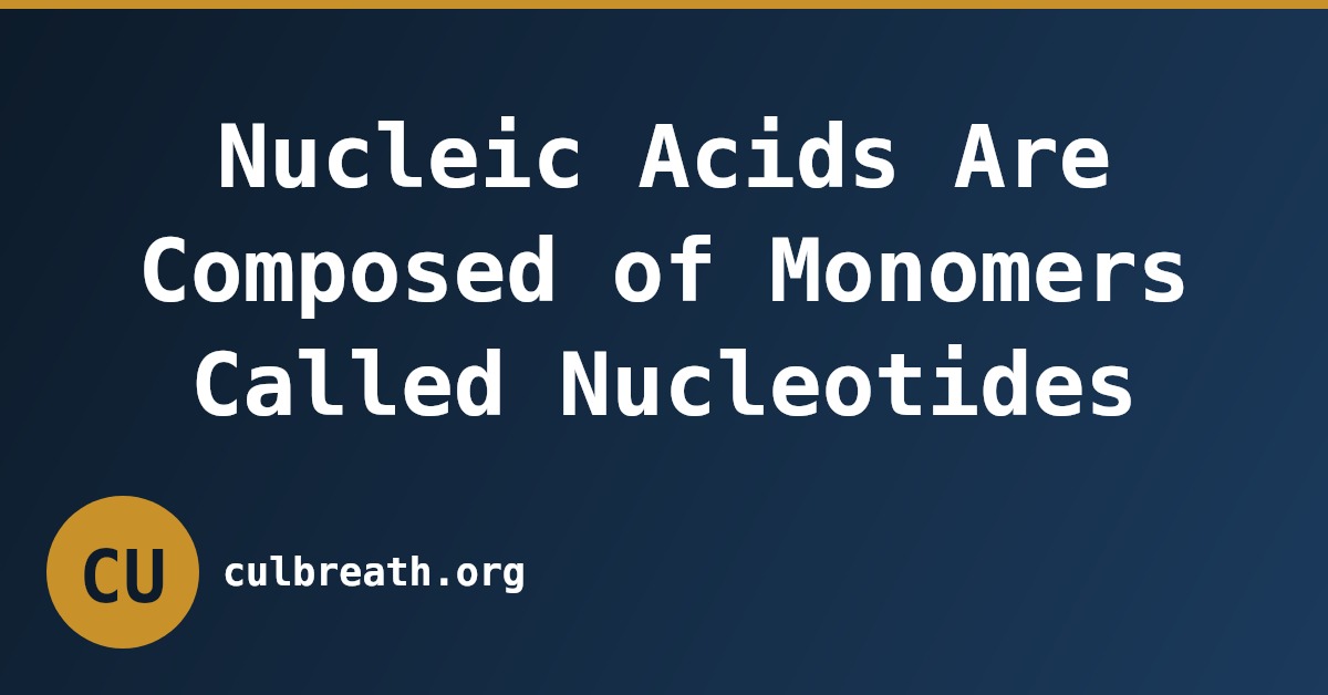Nucleic Acids Are Composed of Monomers Called Nucleotides