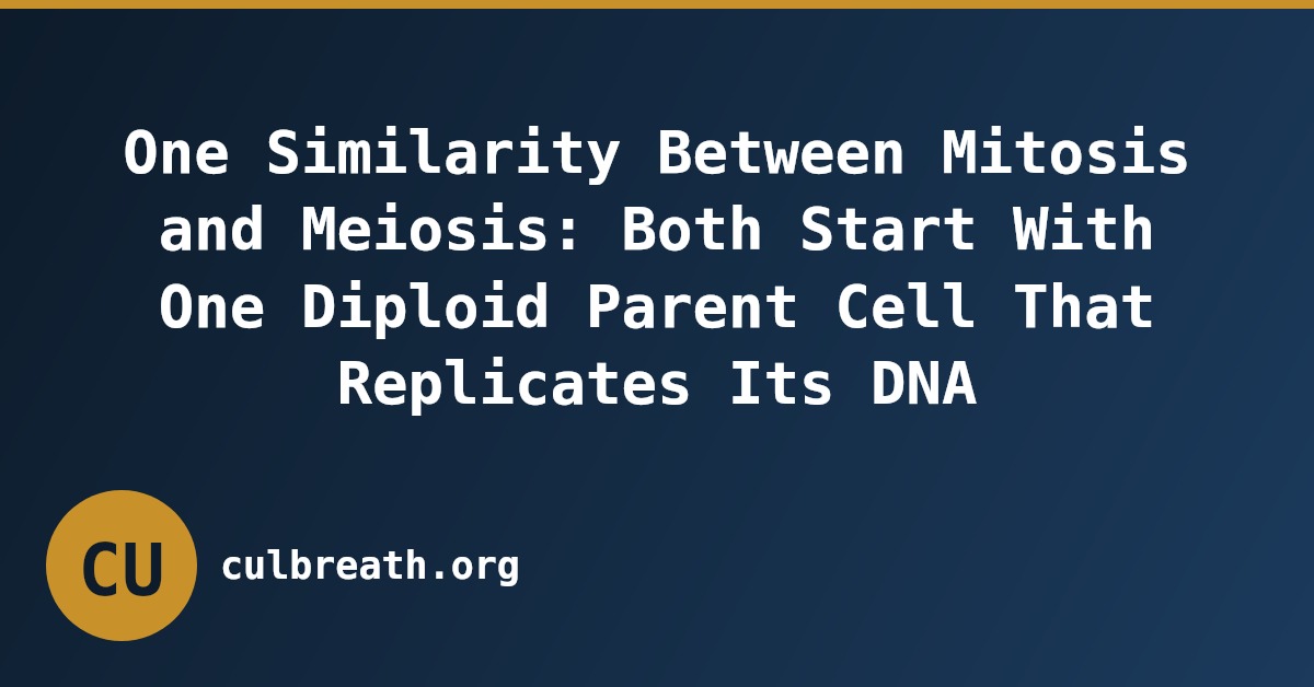 One Similarity Between Mitosis and Meiosis: Both Start With One Diploid Parent Cell That Replicates Its DNA