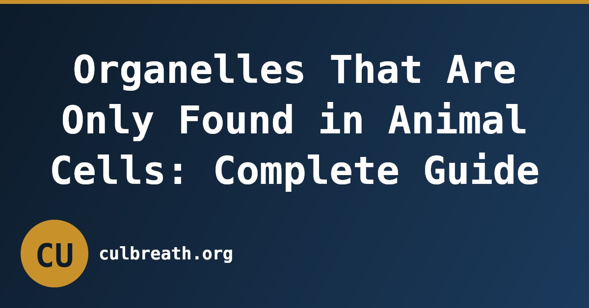 Organelles That Are Only Found in Animal Cells: Complete Guide