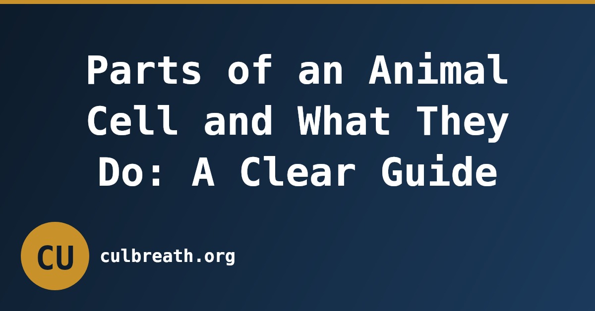 Parts of an Animal Cell and What They Do: A Clear Guide
