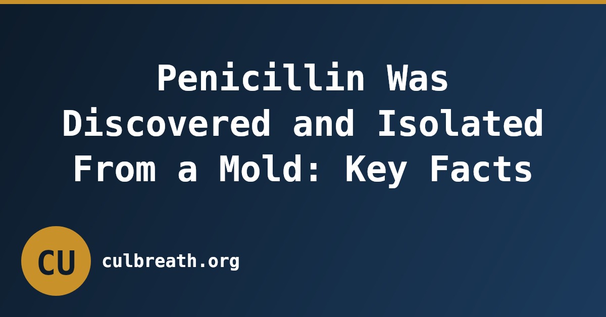 Penicillin Was Discovered and Isolated From a Mold: Key Facts