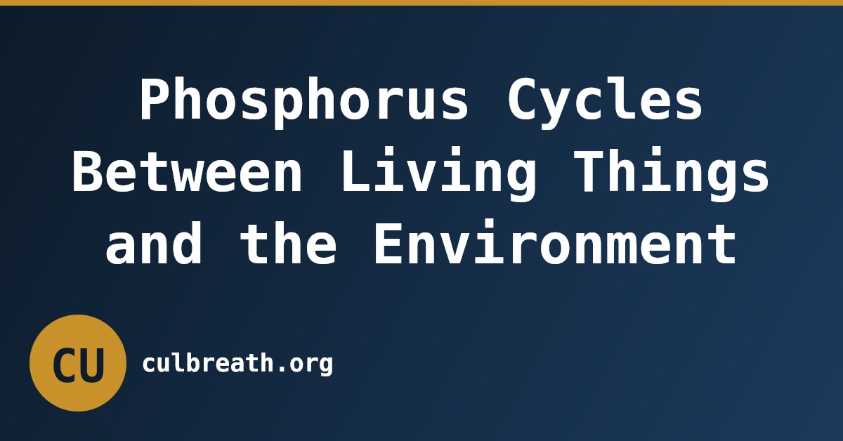 Phosphorus Cycles Between Living Things and the Environment