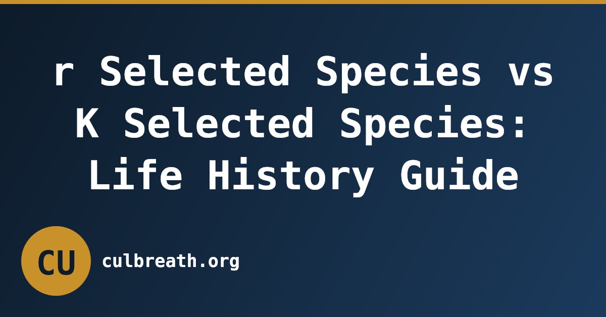r Selected Species vs K Selected Species: Life History Guide