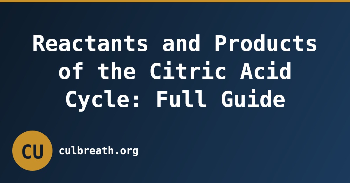 Reactants and Products of the Citric Acid Cycle: Full Guide