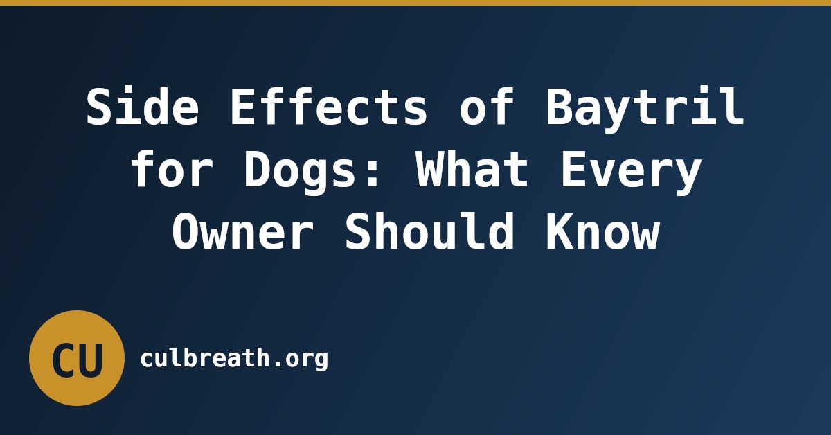 Side Effects of Baytril for Dogs: What Every Owner Should Know