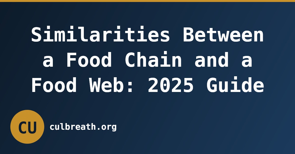 Similarities Between a Food Chain and a Food Web: 2025 Guide