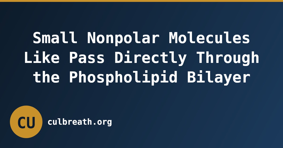 Small Nonpolar Molecules Like Pass Directly Through the Phospholipid Bilayer