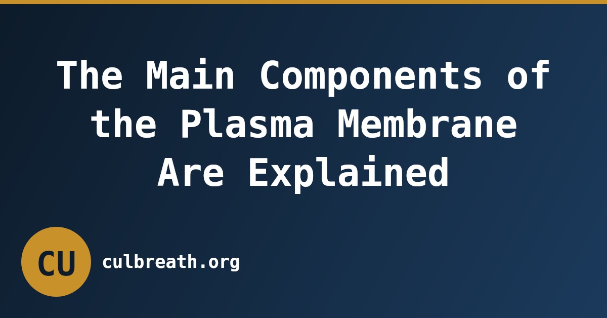 The Main Components of the Plasma Membrane Are Explained