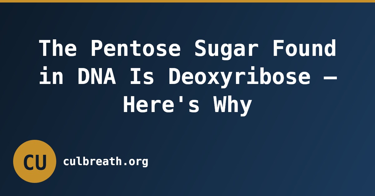 The Pentose Sugar Found in DNA Is Deoxyribose — Here's Why