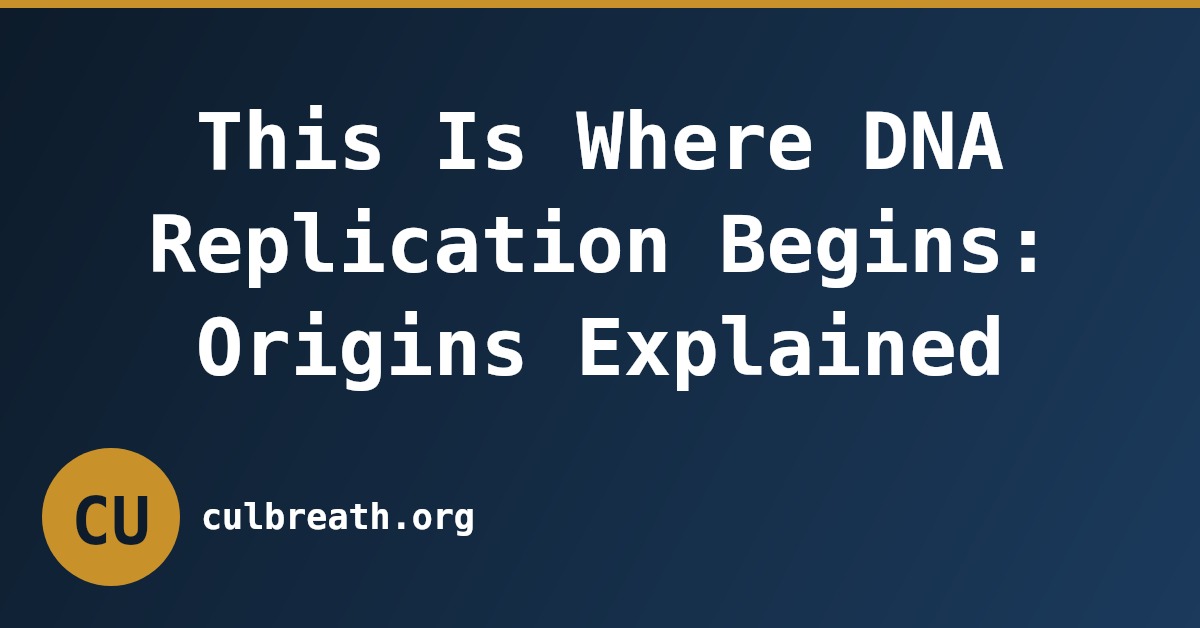This Is Where DNA Replication Begins: Origins Explained
