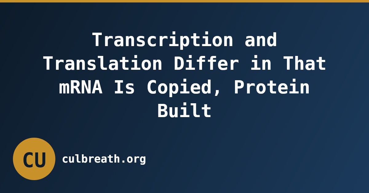 Transcription and Translation Differ in That mRNA Is Copied, Protein Built