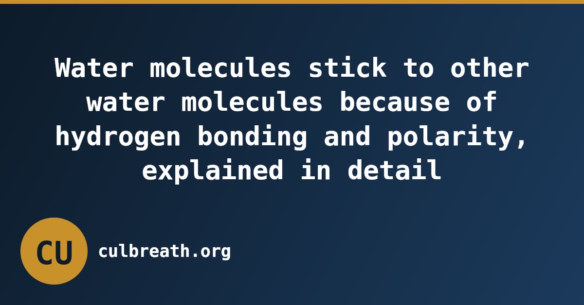 Water molecules stick to other water molecules because of hydrogen bonding and polarity, explained in detail