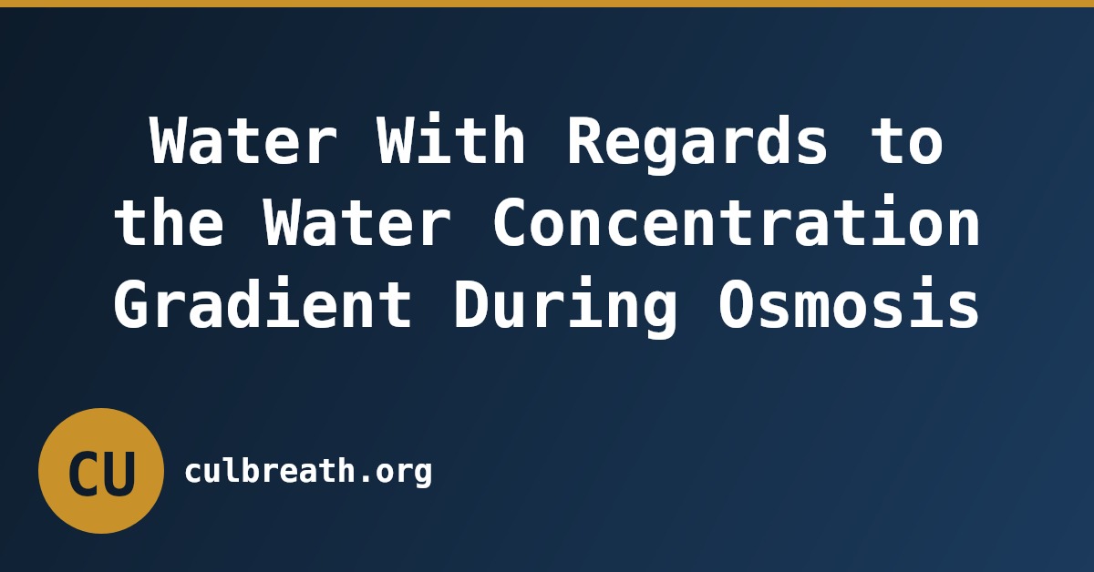 Water With Regards to the Water Concentration Gradient During Osmosis
