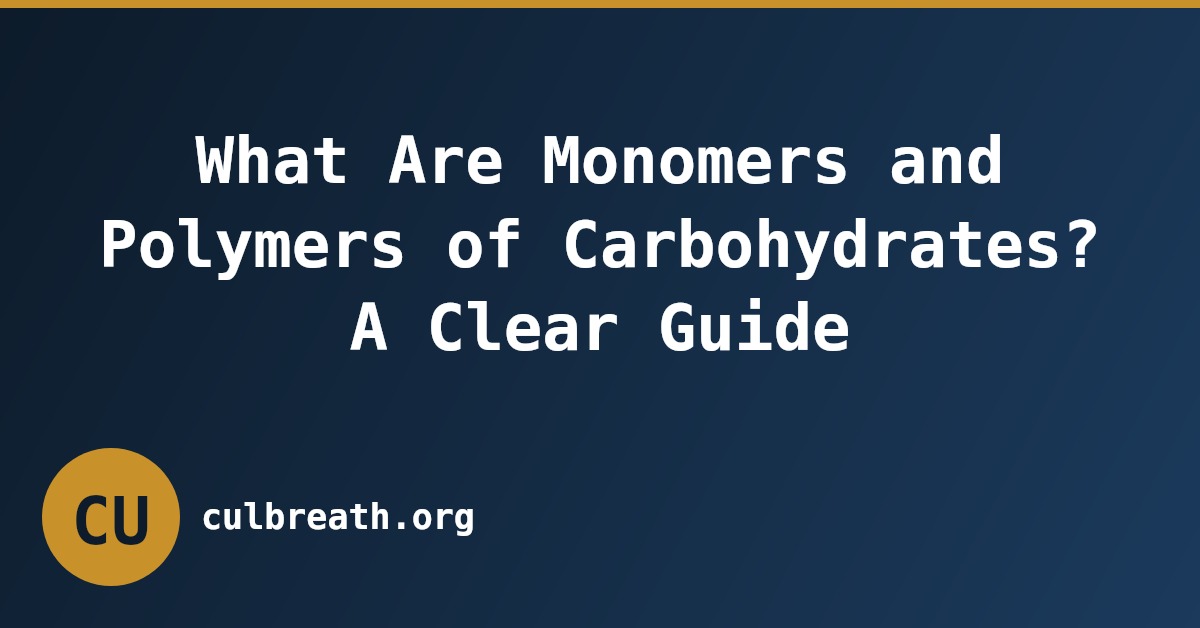 What Are Monomers and Polymers of Carbohydrates? A Clear Guide