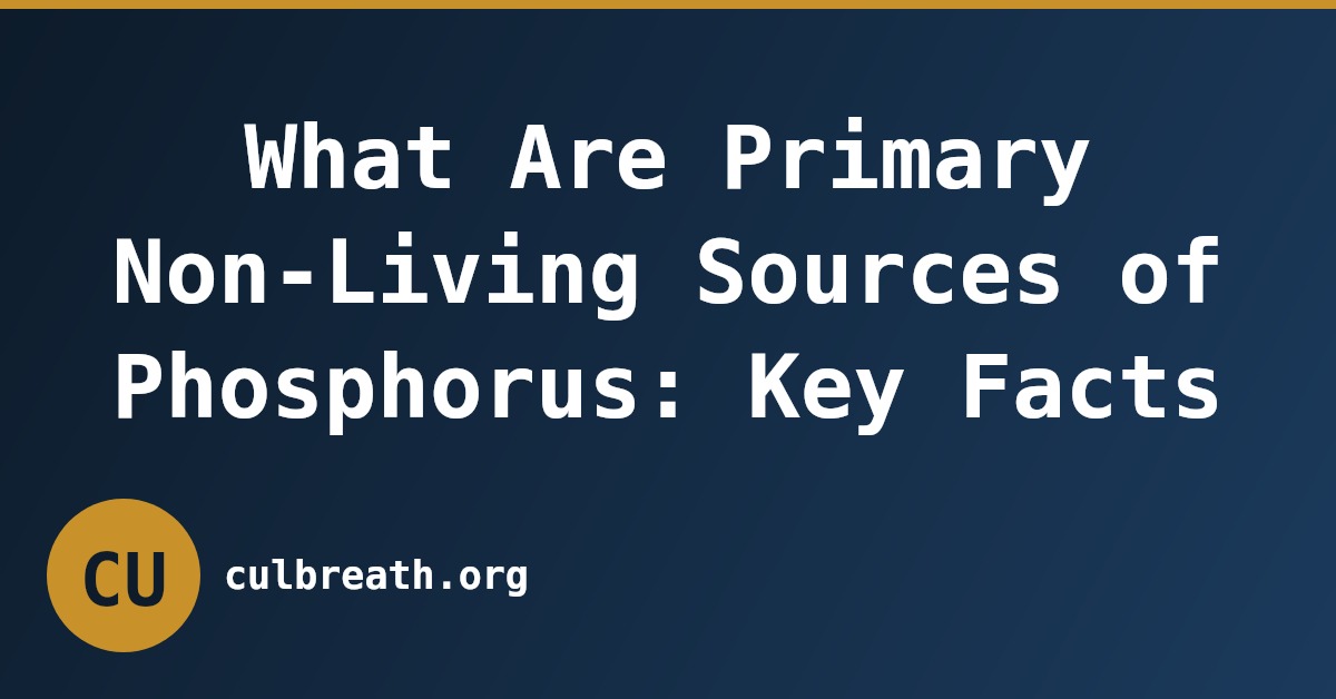 What Are Primary Non-Living Sources of Phosphorus: Key Facts