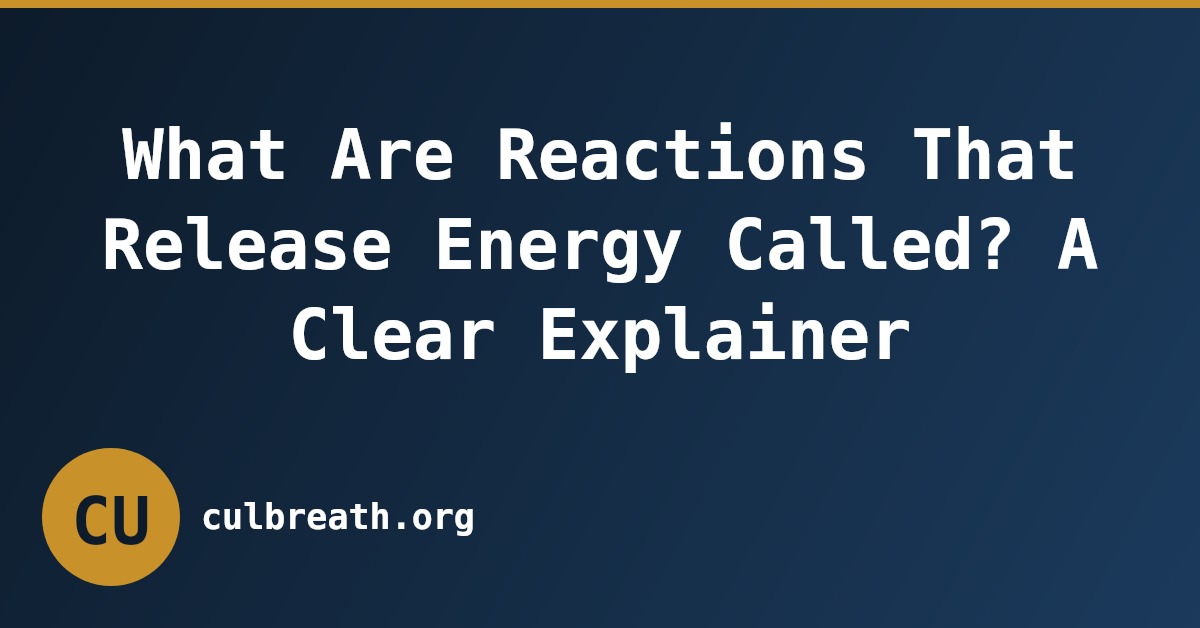 What Are Reactions That Release Energy Called? A Clear Explainer