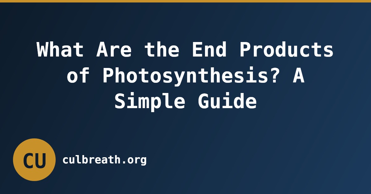 What Are the End Products of Photosynthesis? A Simple Guide
