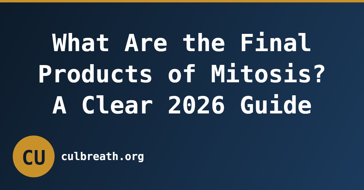 What Are the Final Products of Mitosis? A Clear 2026 Guide