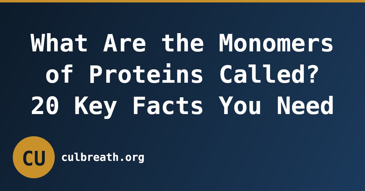 What Are the Monomers of Proteins Called? 20 Key Facts You Need