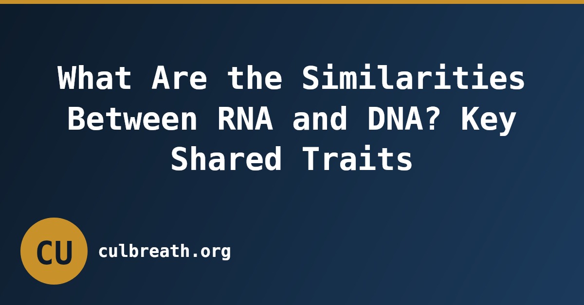 What Are the Similarities Between RNA and DNA? Key Shared Traits