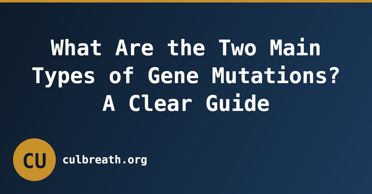 What Are the Two Main Types of Gene Mutations? A Clear Guide