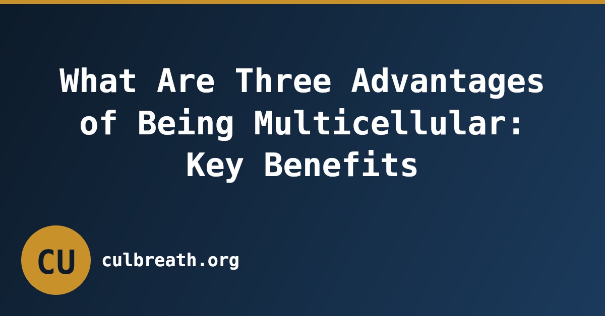What Are Three Advantages of Being Multicellular: Key Benefits