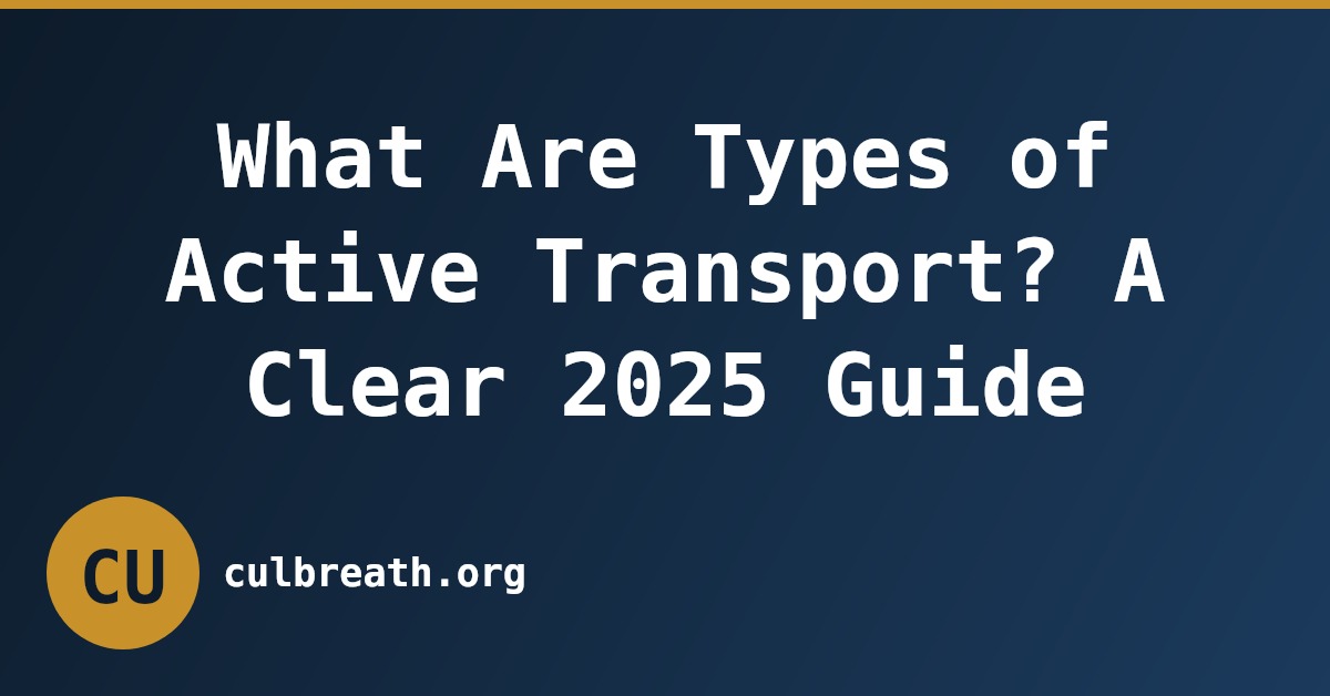 What Are Types of Active Transport? A Clear 2025 Guide