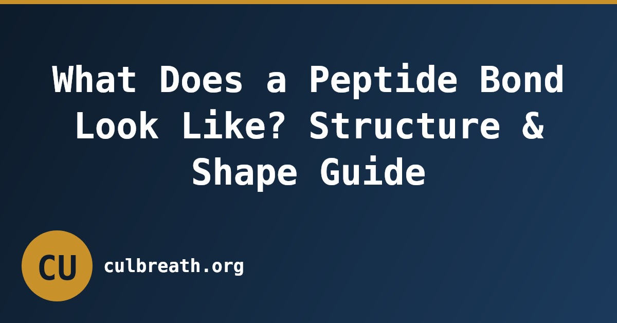 What Does a Peptide Bond Look Like? Structure & Shape Guide