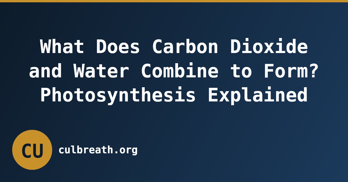 What Does Carbon Dioxide and Water Combine to Form? Photosynthesis Explained