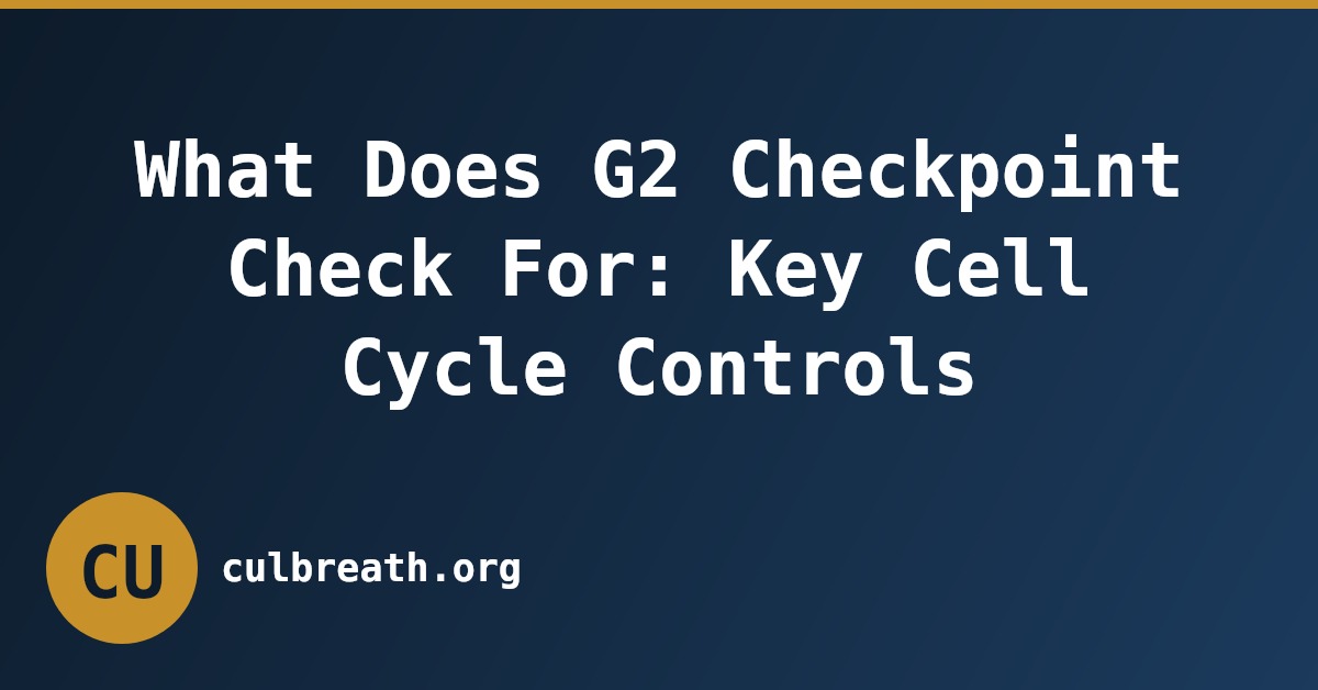 What Does G2 Checkpoint Check For: Key Cell Cycle Controls