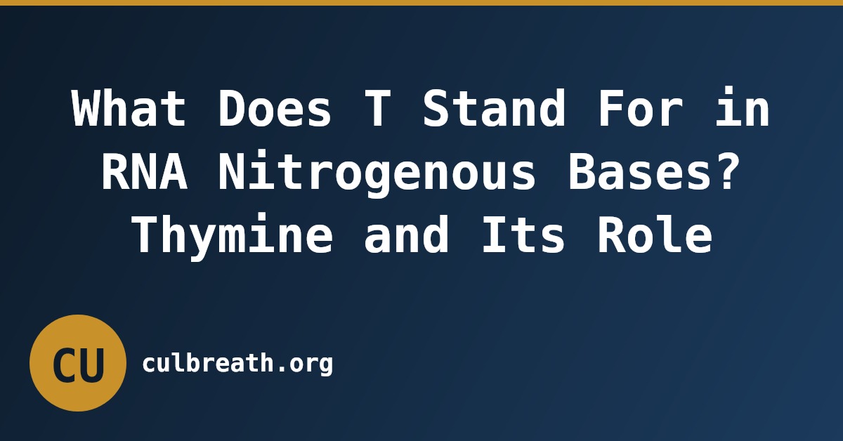 What Does T Stand For in RNA Nitrogenous Bases? Thymine and Its Role