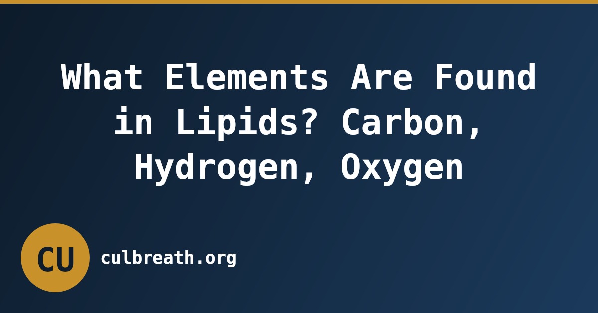 What Elements Are Found in Lipids? Carbon, Hydrogen, Oxygen